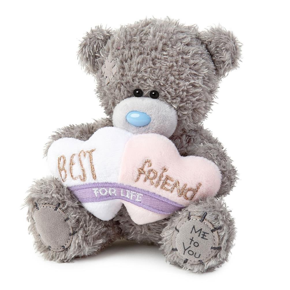 5" Best Friends For Life Me to You Bear Extra Image 1